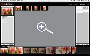 Slideshow ist der Präsentationsmodus von Lightroom. Hier werden Bildschirmpräsentationen oder PDFs erstellt [Foto: MediaNord]