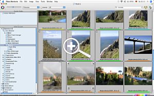 Photo Mechanic 4.4 – Contactsheet  [Foto: Mike Schelhorn]