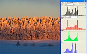 Histogramm und Tonwertkorrektur Teil 2 – Bild 4 S/W Kontrast [Screenshot: Martin Vieten]