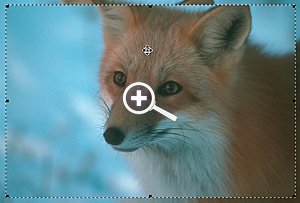 Rphoto Verschieben Funktion [Screenshot: Photoworld]]