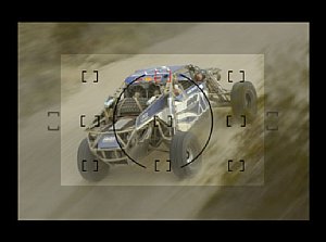Nikon D2xs Sucherbild [Foto: Nikon Deutschland]