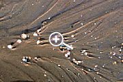 Von den Gezeiten geformter Sand mit Muschelablagerungen [Foto:Günter Hauschild] 