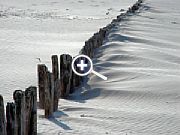 Versandete Uferbegrenzung [Foto: Günter Hauschild]