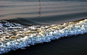 Sich brechende Welle [Foto: Günter Hauschild]