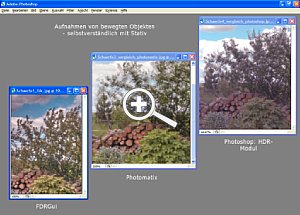 Bild3:  Korrektur von Bewegung in Motiven [Screenshot: Dr. Bernd Schäbler]