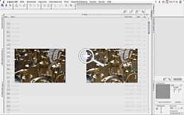 Nikon Capture NX Leuchttisch im Bildbrowser [Foto: MediaNord]