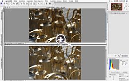 Nikon Capture NX Bildvergleich im Editor [Foto: MediaNord]
