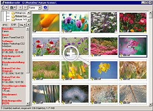 Der Bildbrowser kann jetzt Exif-Daten besser verarbeiten [Foto: Getty Images]