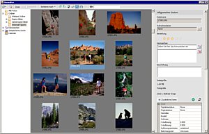 Bild 4 Die runderneuerte Bildverwaltung bietet eine gute Suchfunktion [Foto: Getty Images]