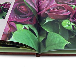 Fotobuch vom Schnappschussverlag [Foto: MediaNord]