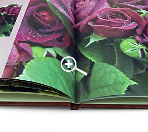 Fotobuch vom Schnappschussverlag [Foto: MediaNord]