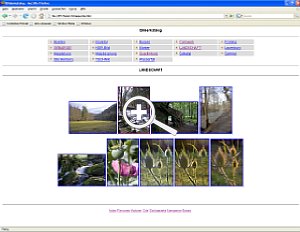 Bild 4:  Automatisch generierte Web-Katalog-Diashow (Montage) [Foto: MediaNord]