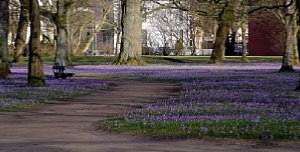 Mein Fotoplan - Schlosspark [Foto: Günter Hauschild]