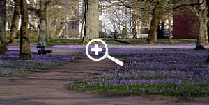 Mein Fotoplan - Schlosspark [Foto: Günter Hauschild]