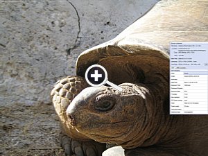 FastStone Image Viewer 2.9 Fullscreen Exif-Data Flyout [Screenshot: MediaNord]