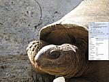 FastStone Image Viewer 2.9 Fullscreen Exif-Data Flyout [Foto: MediaNord e.K.]