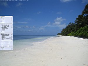 FastStone Image Viewer 2.9 Adjustments [Screenshot: MediaNord]
