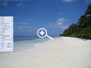FastStone Image Viewer 2.9 Adjustments [Screenshot: MediaNord]