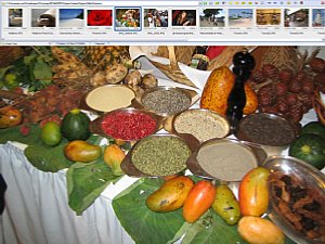 FastStone Image Viewer 2.9 Verzeichnisbaum [Screenshot: MediaNord]
