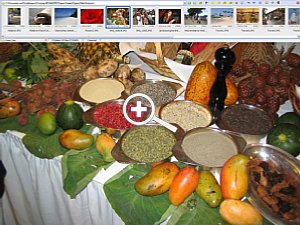 FastStone Image Viewer 2.9 Verzeichnisbaum [Screenshot: MediaNord]