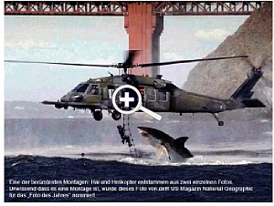 Bild 3: Hai und Helicopter, Montage, Nomination zum Foto des Jahres bei National Geographics