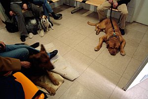 Tierklinik, Wartezimmer [Foto: Martin Rohrmann]