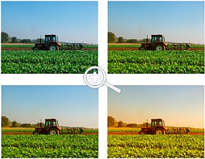 Bild 6 :Von links oben nach rechts unten: Ohne Filter, Warming 25%, 50% und 150%. [Foto:Kristof Friebe]