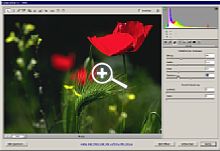 Nach dem Update liefern Lightroom 1.1 und der Raw-Dialog von Photoshop CS3 eine stark verbesserte Scharfzeichnung [Foto: Heico Neumeyer]