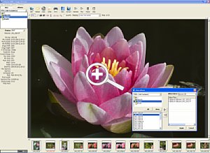 Bild 1: Datei-Browser: Erstellung eines Albums [Foto: Dr. Bernd Schäbler]