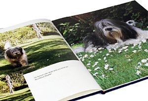 Gedruckte Fotos mit eigenen Büchern interaktiv erstellt - Albumfactory [Foto: MediaNord]