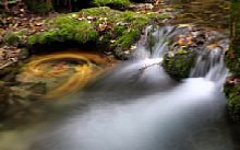 Herbstimpression mit Wasser und Laub [Foto: mbier]