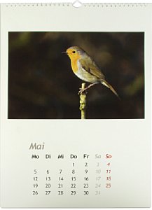Pixum Fotokalender [Foto: MediaNord]