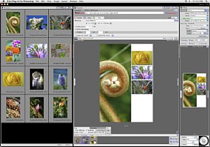 Epson Photoshop Print-Plug-in Mainscreen [Foto: Epson]