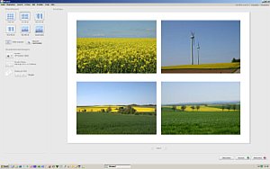 Picasa 2.7 – Druckmenü mit automatischer Anordnung mehrerer Bilder auf einem Blatt  [Foto: Ronny Lauer]