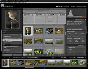 Adobe Photoshop Lightroom 2 - Thumbnailansicht, Filtermoeglichkeit, Stichworte [Foto: MediaNord]