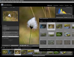 Adobe Photoshop Lightroom 2 - zweites Monitorbild [Foto: MediaNord]