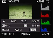 Sony Alpha 900 – RGB-Histogramm [Foto: MediaNord]