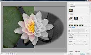 Softwaretest Serif PhotoPlus X2 - Bild 5. Filtergalerie mit geteilter Vorher-/Nachher-Ansicht [Foto: Dr. Thomas Hafen]