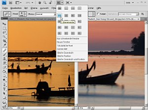 Bildvergleiche werden in Photoshop CS4 leichter. Man kann Bildfenster sauber anordnen, parallel zoomen und den Bildausschnitt verändern. [Foto: Heico Neumeyer, Getty Images]