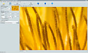BenVista Photozoom Pro 3.0.6 – mit Pixelinterpolation vergrößert [Foto: MediaNord]