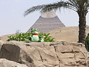 Sweety vor der Pyramide [Foto: Martin Dick]