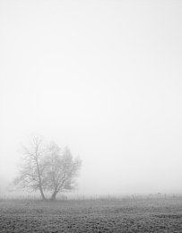 Fototipp Nebelbilder – Variation +1 überbelichtet [Foto: Harm-Diercks Gronewold]