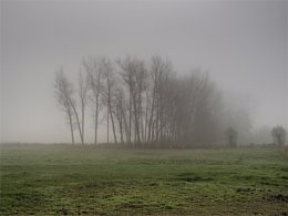 Fototipp Nebelbilder – dichter Nebel mit melancholischer Grundstimmung [Foto: Harm-Diercks Gronewold]