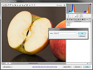 Die Schnappschuss-Funktion in Camera Raw und Lightroom erlaubt es, verschiedene Entwicklungsvarianten in einer Raw-Datei zu speichern [Foto: Martin Vieten]
