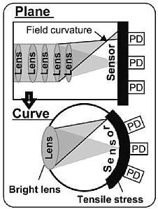 Vorteile des Curved CMOS Sensors [Foto: Sony]