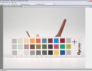 QP Colorsoft 501 – erstellung eines Korrekturprofils [Screenshot: MediaNord]