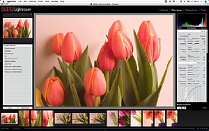 Adobe Lightroom Beta – In diesem Menü stehen Ihnen alle möglichen “Entwicklungs”- und “Belichtungs”-Werkzeuge zur Verfügung [Foto: MediaNord]