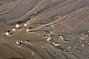 Von den Gezeiten geformter Sand mit Muschelablagerungen [Foto:Günter Hauschild] 