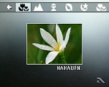 Samsung NV10 – Nahaufnahme [Foto: MediaNord]