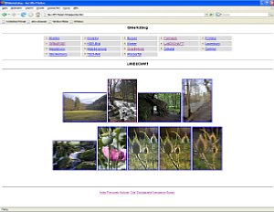 Bild 4:  Automatisch generierte Web-Katalog-Diashow (Montage) [Foto: MediaNord]